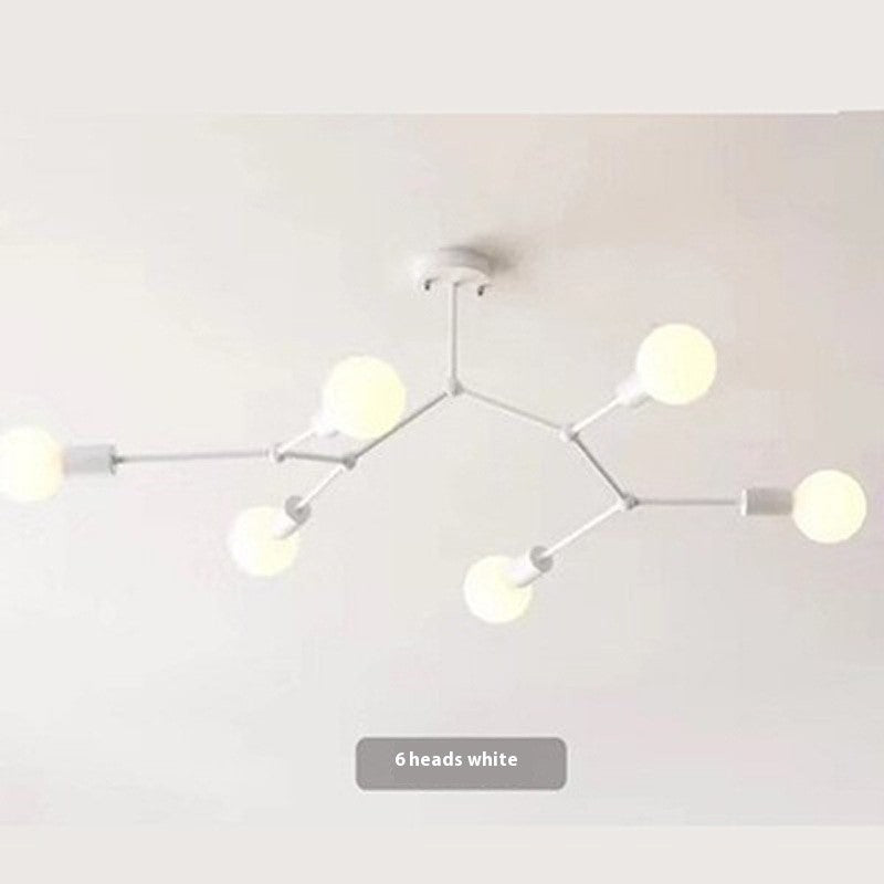 Iron Frame Ceiling Lamp