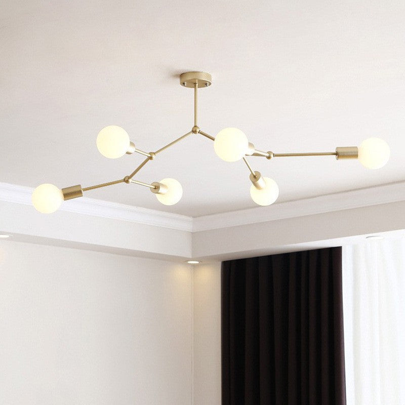 Iron Frame Ceiling Lamp