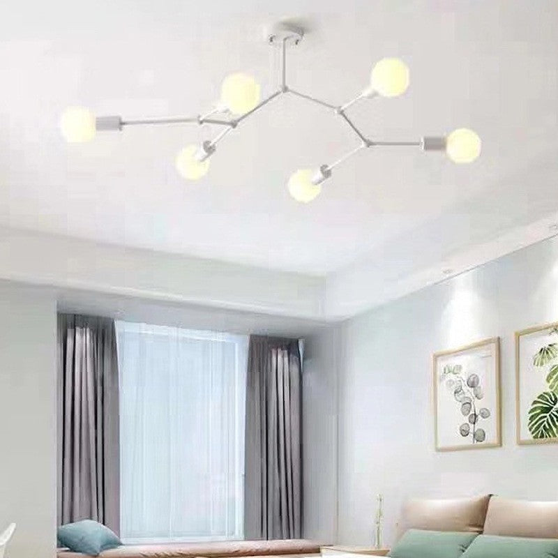 Iron Frame Ceiling Lamp