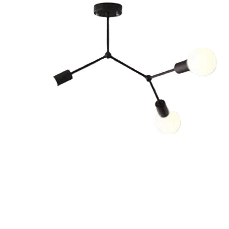 Iron Frame Ceiling Lamp