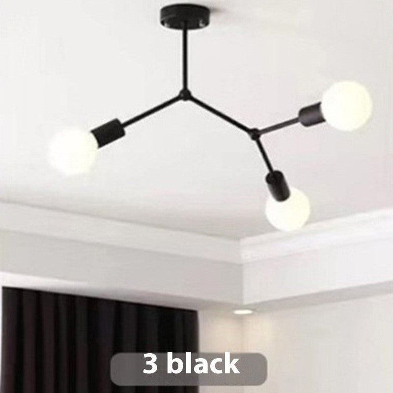Iron Frame Ceiling Lamp
