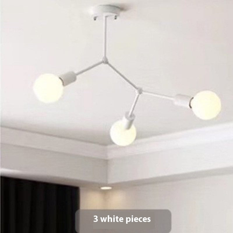 Iron Frame Ceiling Lamp