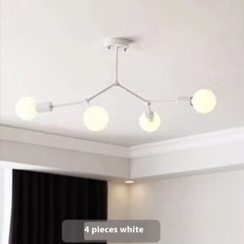 Iron Frame Ceiling Lamp