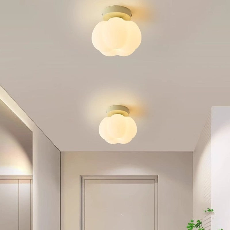 Surface Mounted LED Ceiling Lamp