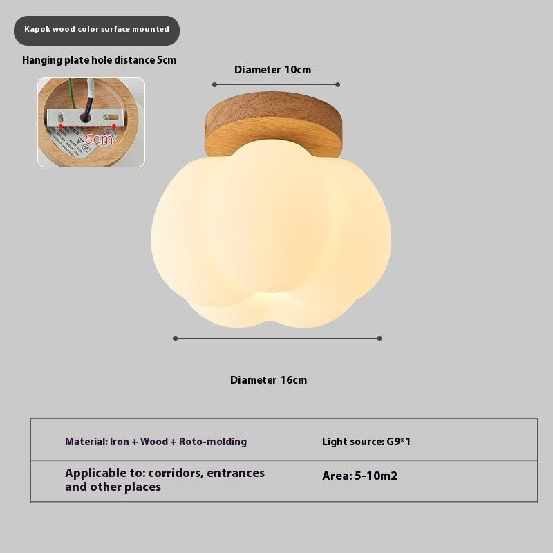 Surface Mounted LED Ceiling Lamp