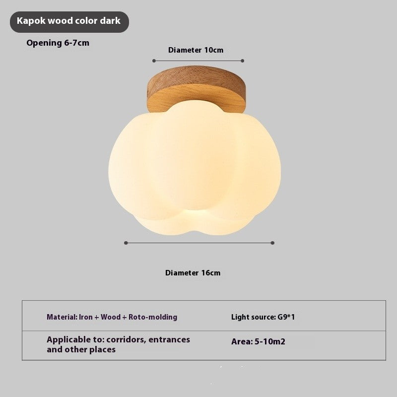 Surface Mounted LED Ceiling Lamp