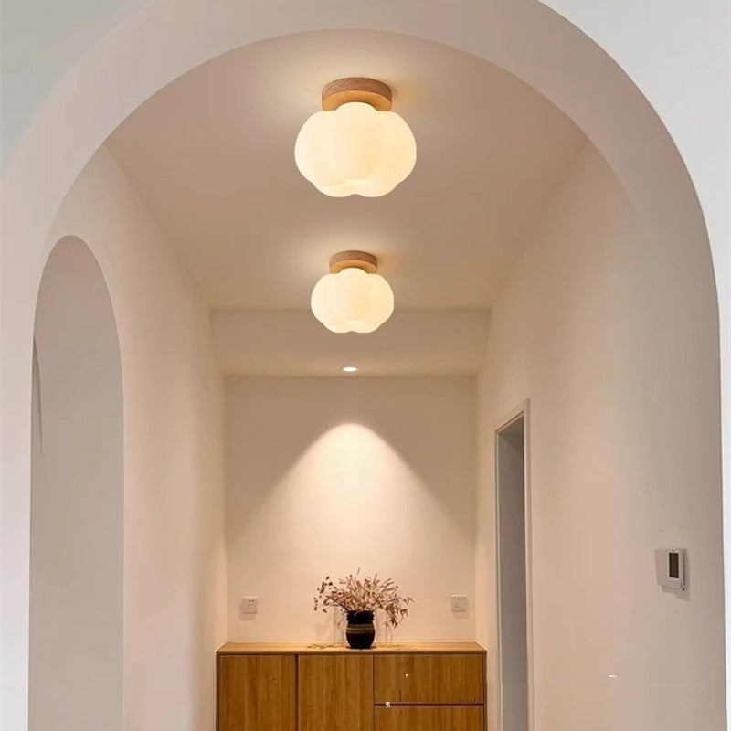 Surface Mounted LED Ceiling Lamp