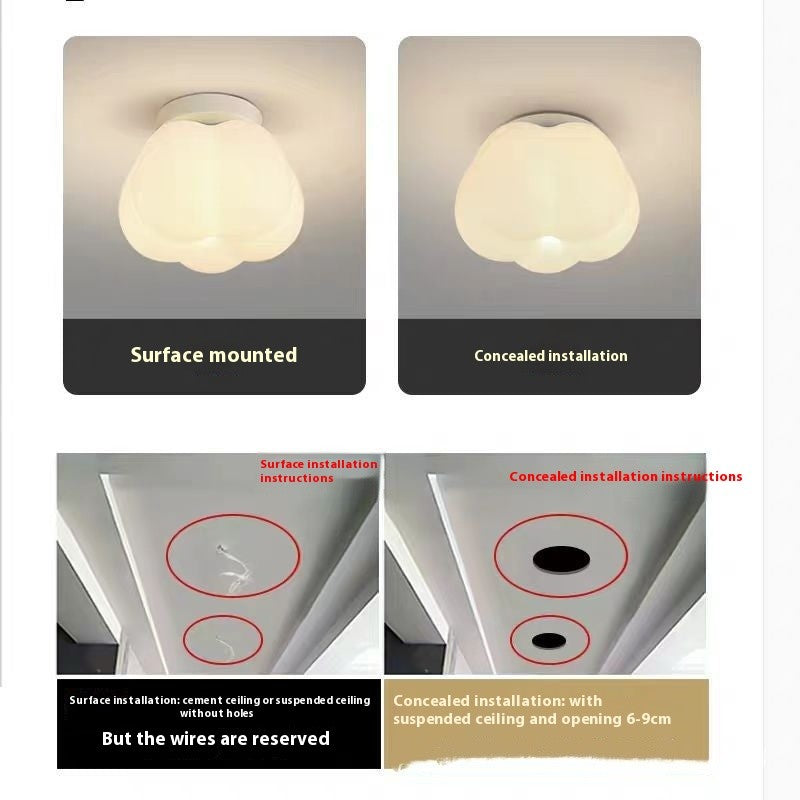 Surface Mounted LED Ceiling Lamp
